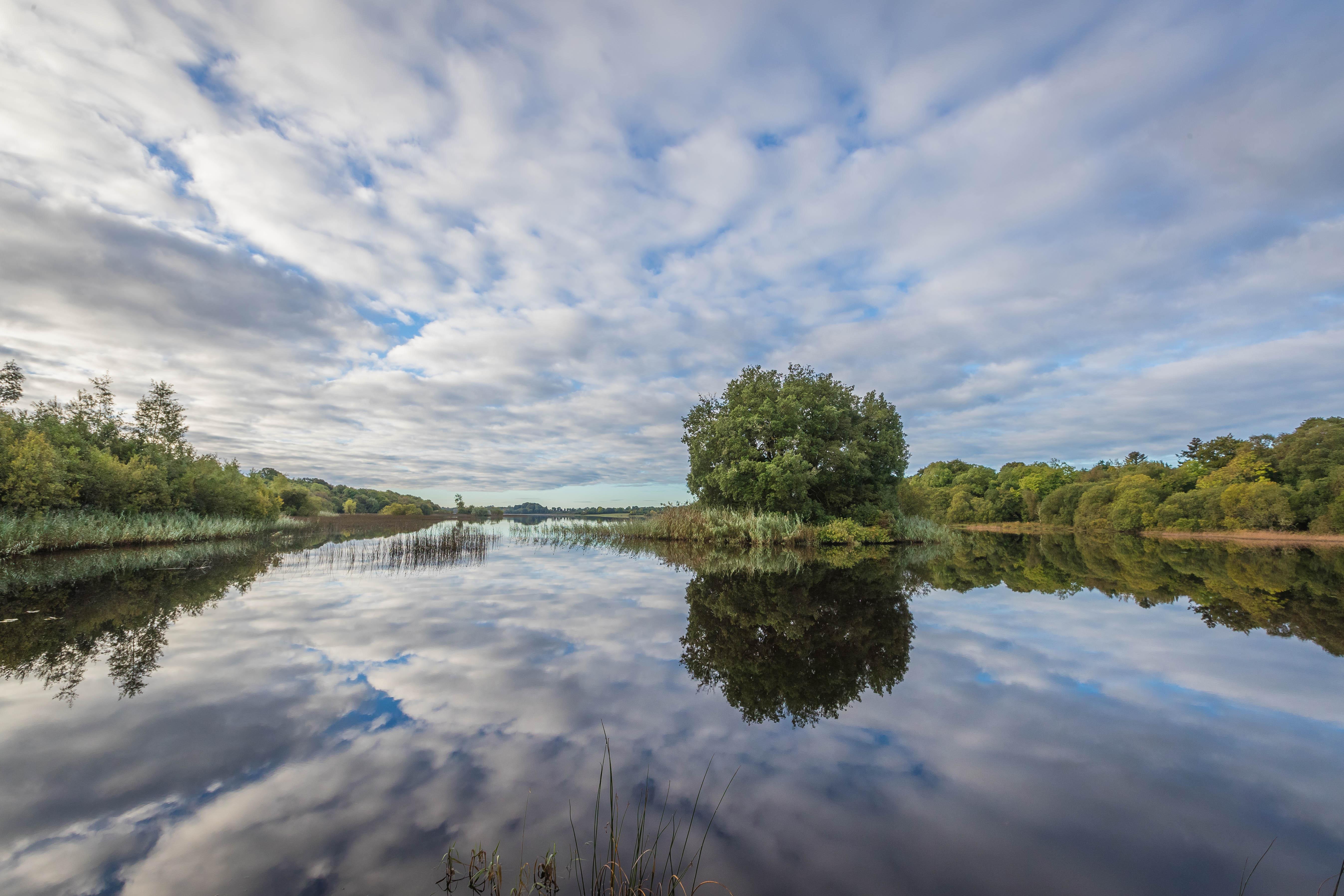Отель Lough Rynn Castle Mohill Экстерьер фото